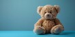 Comforting Plush Animal Offering Silent Support on Minimal Background