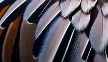 When Viewed Up Close, The Intricate Feathers Of A Zebra Dove Exhibit An Impressive And Elaborate Design, Featuring A Blend Of Soft Earth Tones Such As Chestnut, Cocoa, And Slate.