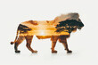 Silhouette of a lion combined with a photograph of a savannah on an isolated background