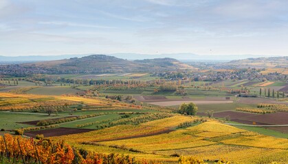  Beautiful view of vineyards in France