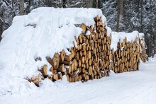 Close Up Of A Pile Of Wood Logs Covered In Snow Lining The Path In A Forest.