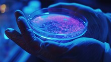 Close-up Of A Scientists Hand Holding A Petri Dish With A Glowing Sample Representing Biotechnology
