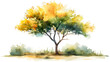 Watercolor Painting of a tree on Grass mound transparent background png