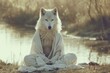 © Anna - Calm looking wolf simple white clothes, sitting on ground in lotus like position. Zen meditation concept