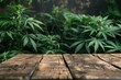 Empty rustic old wooden boards table copy space with cannabis plants in background