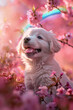 Adorable cachorro de labrador blanco entre flores de almendro.