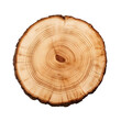 slice tree trunk isolated on transparent background, PNG available