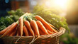 fresh carrot in basket on market background day light