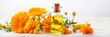 herbal calendula in the glass and aromatherapy essential oil Isolated white background