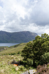 Views Around Torridon