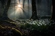 Aromatic Snowdrops forest violet blossom at mountains. Nature flora plant white. Generate Ai