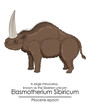 A large rhinoceros, known as the Siberian unicorn Elasmotherium Sibiricum