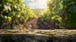 © Jane Kelly - Stone table top with copy space. Vineyard background