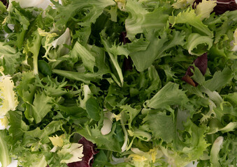 Wall Mural - background of fresh mix lettuce