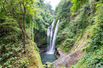 Wall Mural - Aling Aling Waterfall in North of Bali, Singaraja