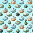 Autumn pumpkin harvest. Hand drawn watercolor  seamless pattern