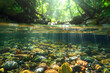 a rainforest stream teeming with life, where sunlight filters through the dense canopy to illuminate the clear, cool water and reveal the colorful pebbles and stones beneath the surface