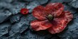Closeup of a red poppy pin on a textured black background symbolizing Remembrance Day. Concept Remembrance Day Symbolism, Red Poppy Pin, Closeup Photography, Textured Background, Memorial Art
