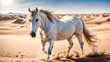 White Horse in the Sahara Desert, Merzouga, Morocco