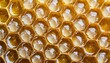 Honigwappen textur Hintergrund Draufsicht
