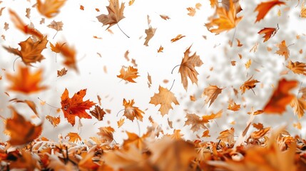 Canvas Print - A dynamic image of leaves flying in the air. Suitable for various nature and seasonal concepts