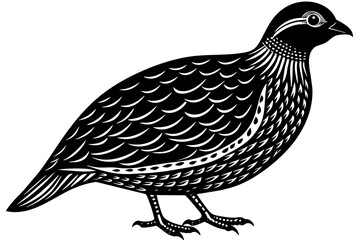 quail-icon-vector-illustration