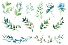 Set Of Watercolor Floral Green Leaves Illustration