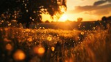 Fototapeta Natura - Beautiful sunset over a peaceful grass field, perfect for nature backgrounds or relaxation concepts