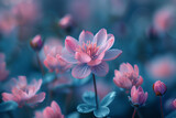 Fototapeta Kwiaty - pink flower in garden