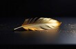 golden feather on a black background