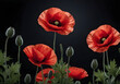 Red poppies on black background. Remembrance Day, Armistice Day symbol. Generative AI
