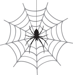 spider and web insect Halloween
