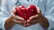 A red heart in the hands of a doctor, cardiovascular health concept.