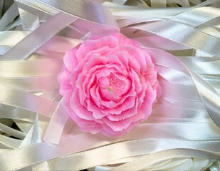 Wall Mural - pink rose on the table