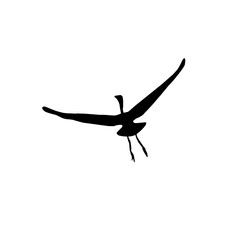 Poster - silhouette of a flying crane