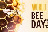 Fototapeta Uliczki - Close-up view of a bee on a honeycomb with the words World Bee Day displayed