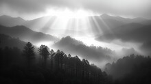 Mountain Morning - Black And White - Trees - Fog - Clouds - Mist - Hazy 