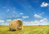 Fototapeta Na sufit - Bales of hay in a large field.