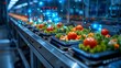 A conveyor belt with a variety of food items including tomatoes, carrots, and lettuce. The food is being prepared for a restaurant or a cafeteria
