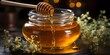 Glass jar full of honey and dipper natural ecological useful product. Golden Harvest Glass Jar Filled with Pure Honey and Dipper