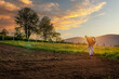 Farmer working on an agricultural fields at sunset.