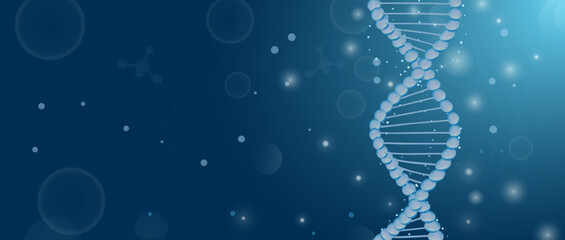 Wall Mural - the medical background of dna