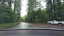 Windshield Wide Angle Of Driving Through Redwoods National Park, Rainy Day In North California
