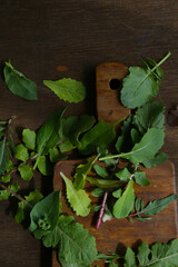 Wall Mural - baby leaves green salad on a table