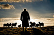 © Linggakun - Lost sheep on autumn pasture. Concept photo for Bible text about Jesus as sheepherder who cares for lost sheep