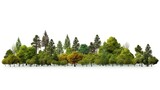 Cutout tree line. A row of green trees and shrubs in summer on a white background.