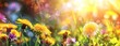 Enchanted Morning: Sun-Kissed Dandelions and Glittering Bokeh - Generative AI