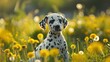 Spotted Innocence Among Dandelions: A Dalmatian Puppy's Charm - Generative AI