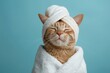 A content cat wrapped in a white spa towel and head wrap with its eyes closed in relaxation