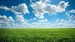 Expansive panoramic view of a lush green field under a vast blue sky with fluffy clouds